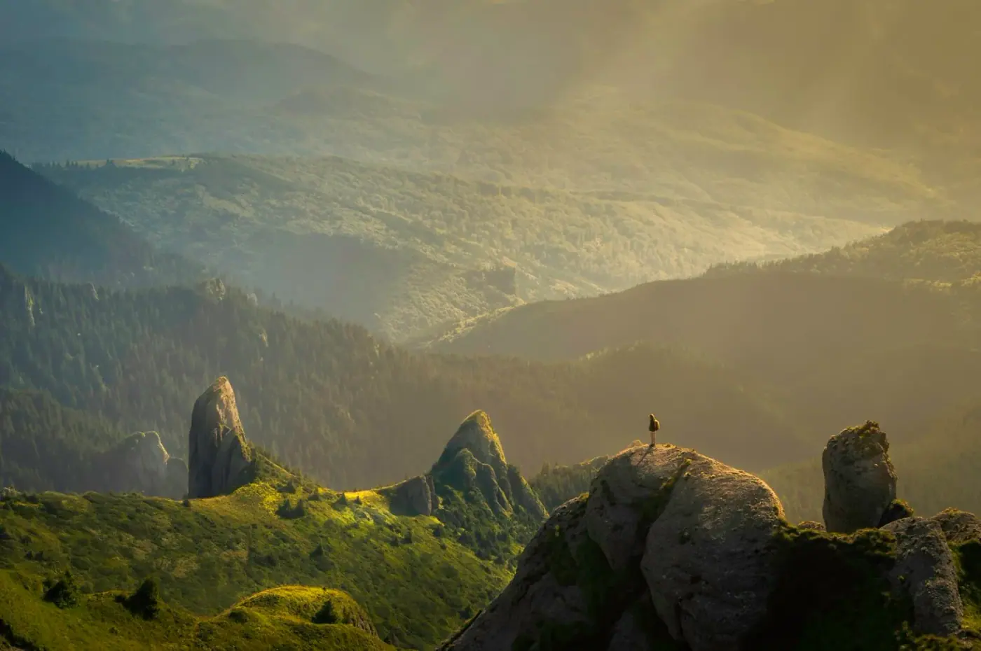 Lush Himalayan river valley at golden hour — India
